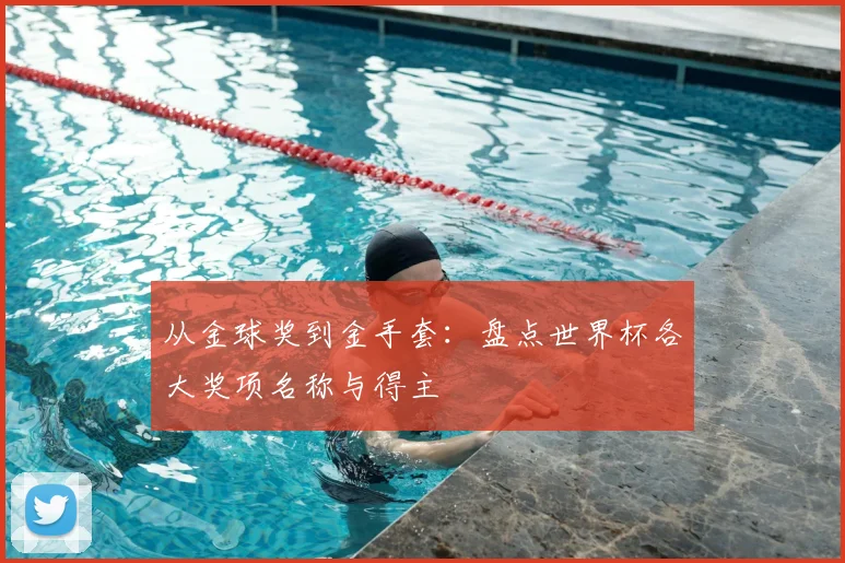 从金球奖到金手套：盘点世界杯各大奖项名称与得主