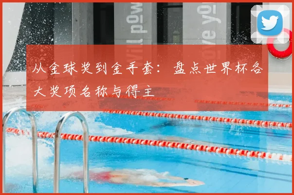 从金球奖到金手套：盘点世界杯各大奖项名称与得主
