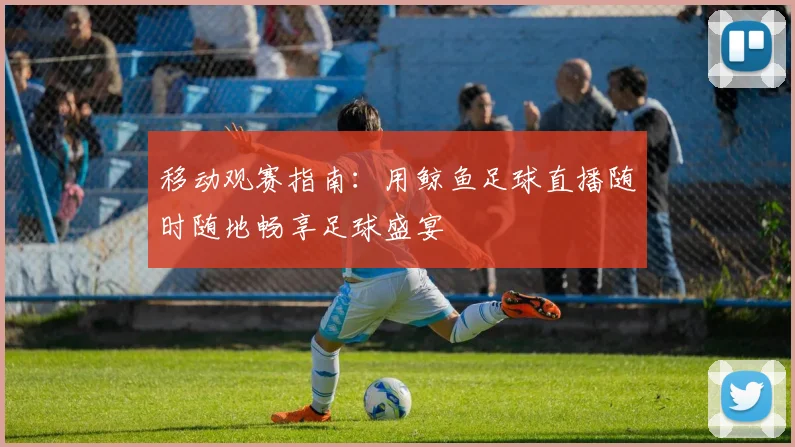 移动观赛指南：用鲸鱼足球直播随时随地畅享足球盛宴