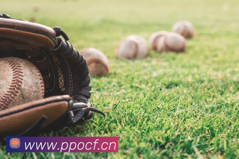 开云在线登录入口官网平台生态图