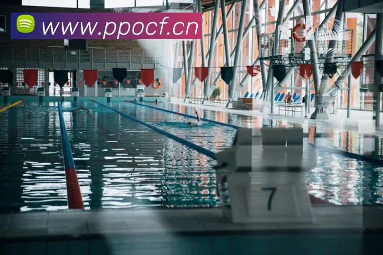 开云在线登录入口官网APP 封面图